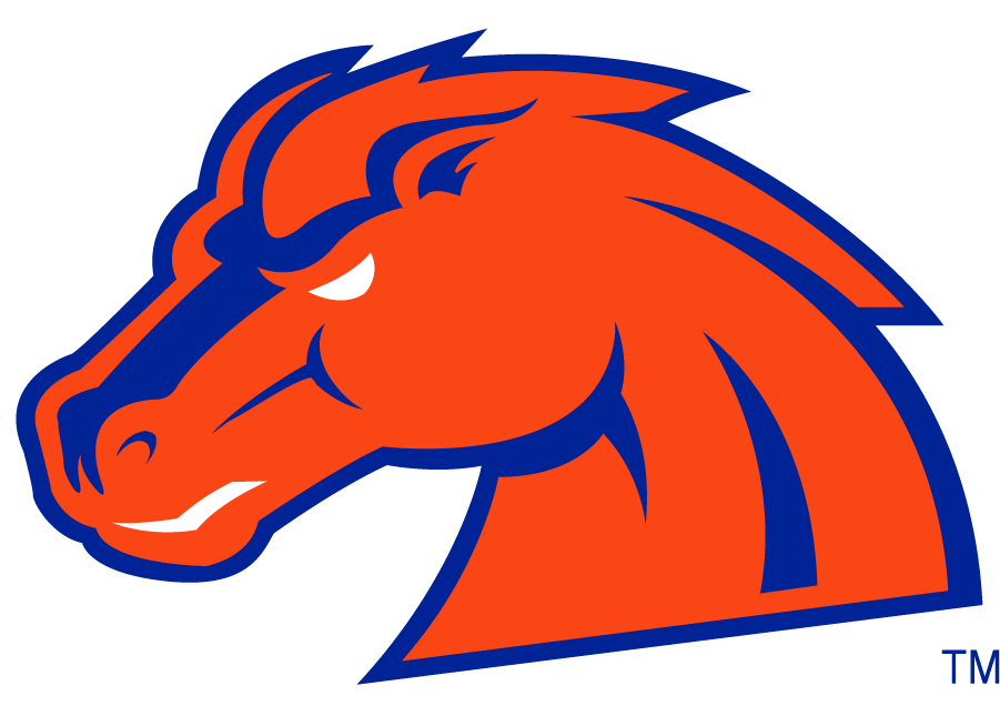 Boise State Broncos 2002-2012 Secondary Logo v14 diy iron on heat transfer